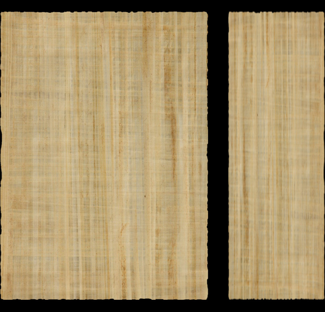 Papyrus background