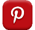 pinterest link