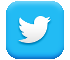 twitter link